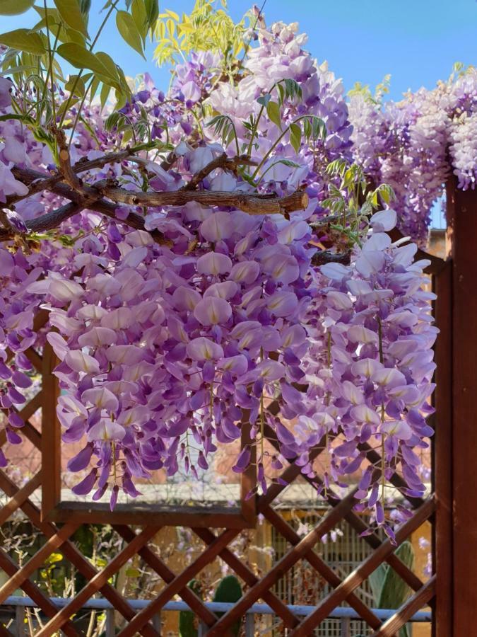 Bed and breakfast Episcopo Lipinsky Luxury